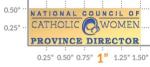 Province Director Pin